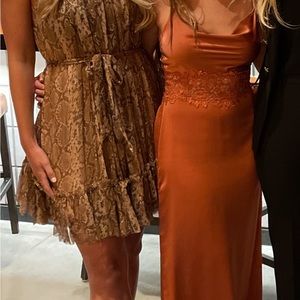 Zimmerman snake dress from Saks 2 years ago